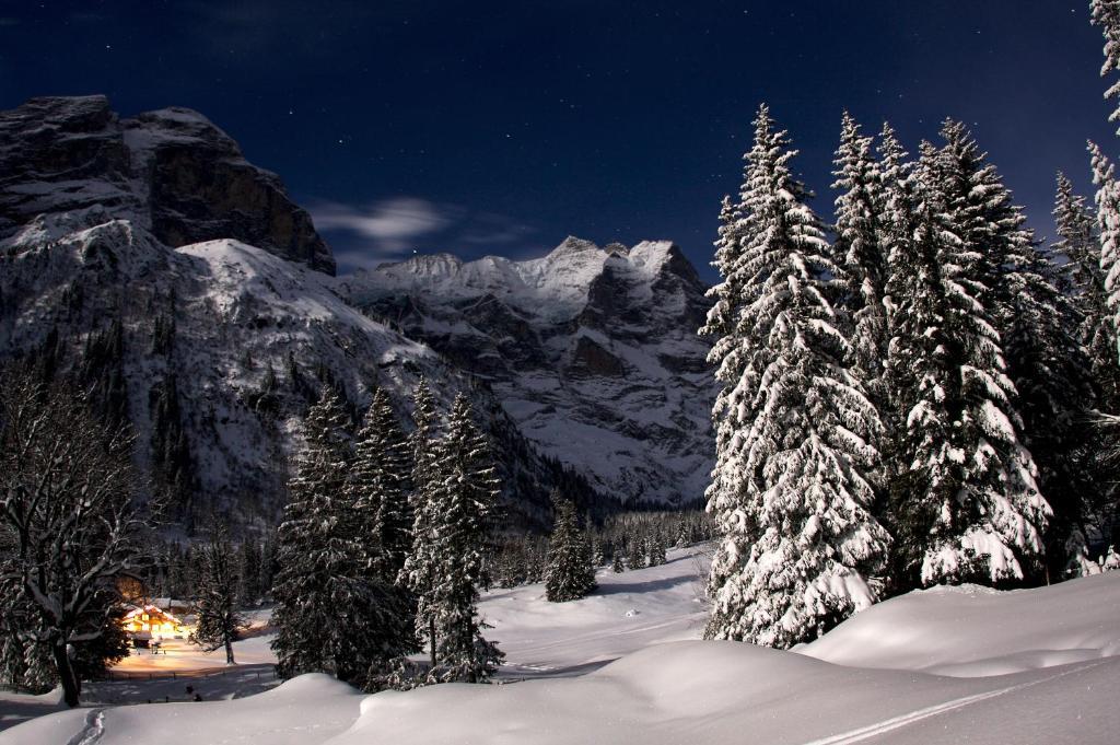 Chalet-Hotel Schwarzwaldalp Meiringen Extérieur photo